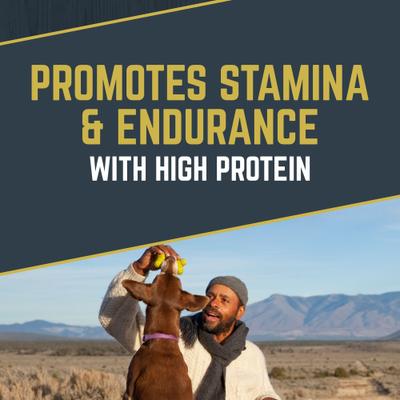 Comida seca para perros Explorer Mature 7+ Formula, bolsa de 40 lb