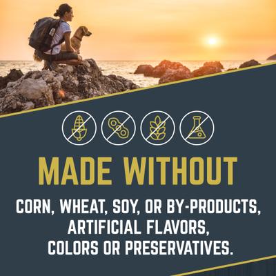 Explorer Puppy Formula Dry Dog Food, 15-lb bag