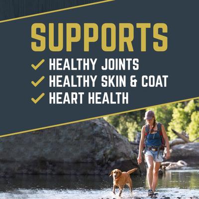 Explorer Super Performance Formula 32/21 Dry Dog Food, 40-lb bag