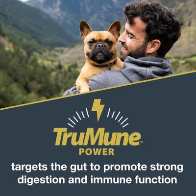 Comida seca para perros Explorer Mature 7+ Formula, bolsa de 40 lb