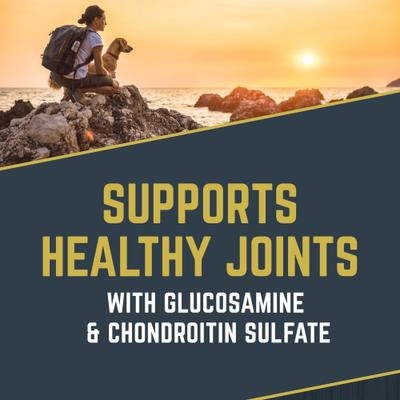 Comida seca para perros Explorer Mature 7+ Formula, bolsa de 40 lb