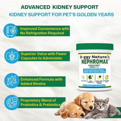 Synbiotic Capsules Kidney Support Supplement for Dogs & Cats, 120 count