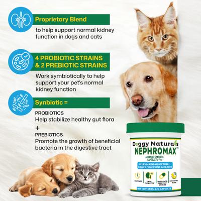 Synbiotic Capsules Kidney Support Supplement for Dogs & Cats, 120 count