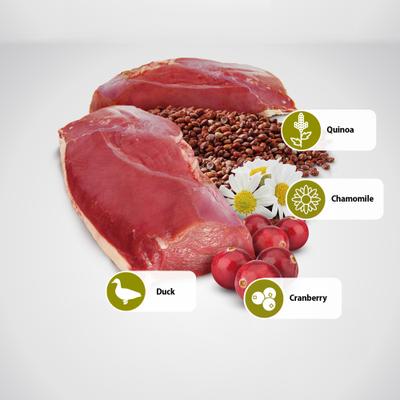 N&D Quinoa Feline Duck, Cranberry & Chamomile Urinary Dry Cat Food, 8.8-lb bag