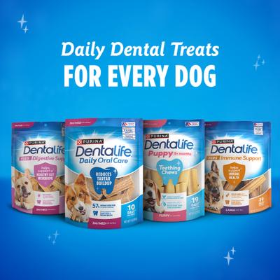 Plus Digestive Support Chicken & Pumpkin Flavor Small/Medium Dental Dog Treats, 8 count