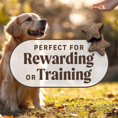 Power Bites Real Texas Beef Recipe Grain-Free Soft & Chewy Dog Treats, 6-oz bag