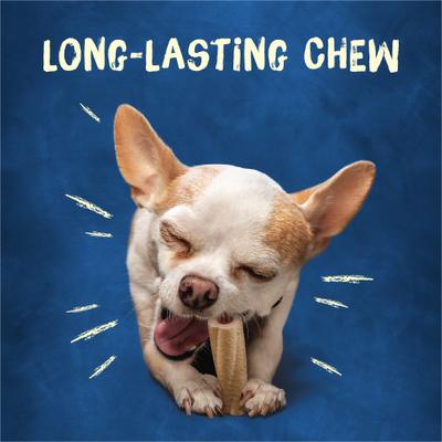 Long-Lasting Real Meat Tiny Dog Treat, 120 count