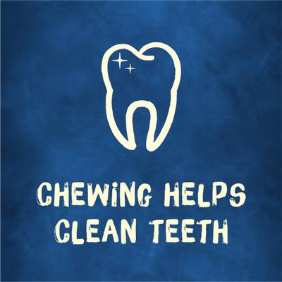 Long-Lasting Real Meat Tiny Dog Treat, 60 count