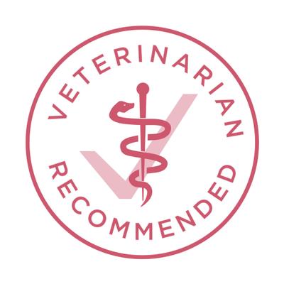 +Plus Adult Skin & Coat Formula Dry Dog Food, 16.5-lb bag