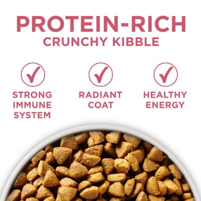 +Plus Adult Skin & Coat Formula Dry Dog Food, 16.5-lb bag