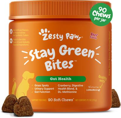 Stay Green Bites Beef Flavored Soft Chews Grass Protection Urine Neutralizer & Digestive Supplement for Dogs, 90 count