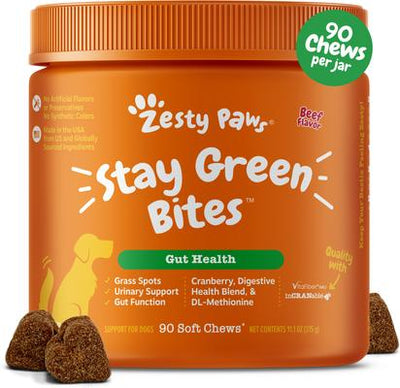 Stay Green Bites Beef Flavored Soft Chews Grass Protection Urine Neutralizer & Digestive Supplement for Dogs, 90 count