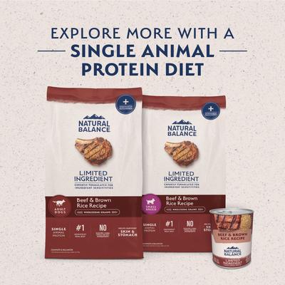 Limited Ingredient Beef & Brown Rice Small Breed Recipe Dry Dog Food, 12-lb bag