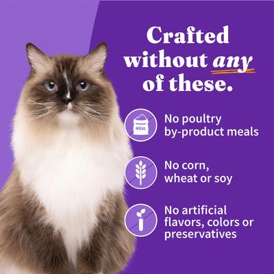 Chicken, Whitefish, Turkey Variety Pack Grain-Free Pate Adult Wet Cat Food, 5.5-oz can, case of 12