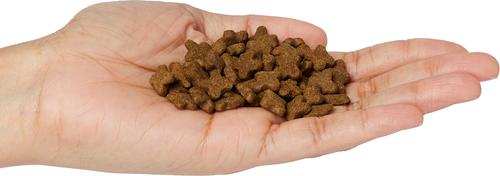 Uretic Dry Cat Food, 5-lb bag