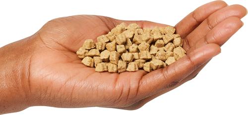 Oven-Baked Senior Small Bites Recipe Dry Dog Food, 5-lb bag