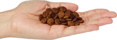 Organic Grain-Free Turkey & Liver Recipe Dry Dog Food, 4-lb bag