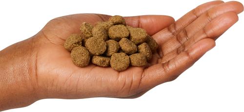 Sensitive with Lamb Protein Dry Dog Food, 28-lb bag