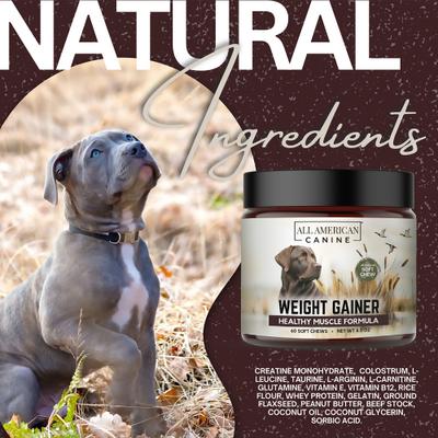 High-Calorie Weight Gainer Protein Chews Dog Supplement, 60 count