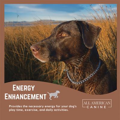 High-Calorie Weight Gainer Protein Powder Dog Supplement, 1.5-lb bag