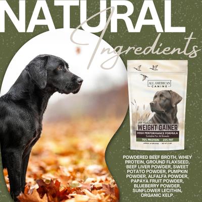 High-Calorie Weight Gainer Protein Powder Dog Supplement, 1.5-lb bag