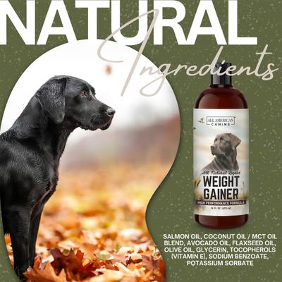 High-Calorie Weight Gainer Protein Liquid Dog Supplement, 16-fl oz bottle