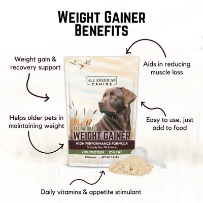 High-Calorie Weight Gainer Protein Powder Dog Supplement, 1.5-lb bag