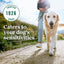Limited Ingredient Diet Adult Sensitive Support with Real Venison Meal & Sweet Potato Grain-Free Dry Dog Food, 22-lb bag