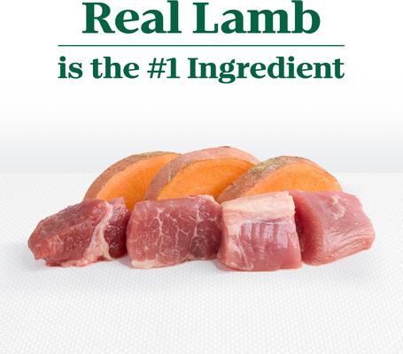 Limited Ingredient Diet Adult Large Breed Sensitive Support with Real Lamb & Sweet Potato Grain-Free Dry Dog Food, 22-lb bag