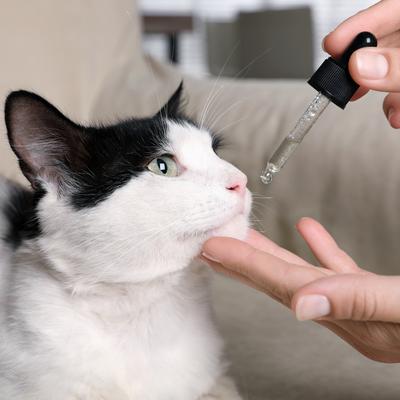 Tintura de aceite de cáñamo de espectro completo para gatos de menos de 11 kg, 125 mg, bien mezclado, 30 ml