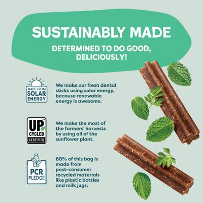 Mighty Mint Dog Dental Sticks, Mini, 7.2-oz bag