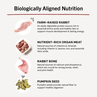 Frozen Absolutely Rabbit Morsels Grain-Free Frozen Cat Food, 1-lb bag, case of 4