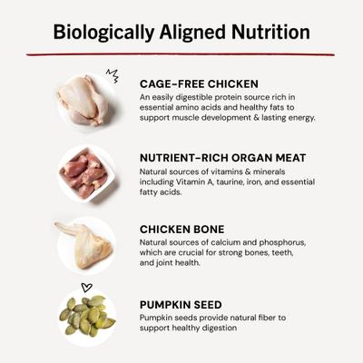 Frozen Chick Chick Chicken Morsels Grain-Free Frozen Cat Food, 1.25-lb bag, case of 4