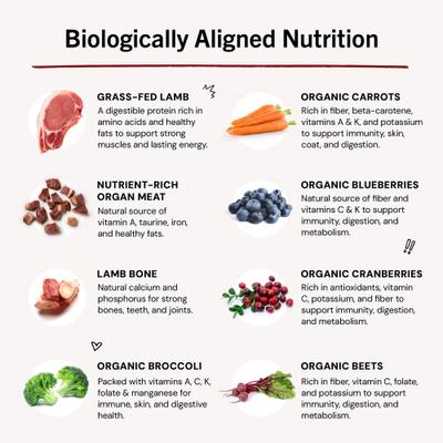 Dandy Lamb Morsels Frozen Raw Dog Food, 4-lb bag