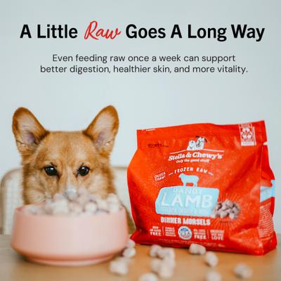 Dandy Lamb Morsels Frozen Raw Dog Food, 4-lb bag