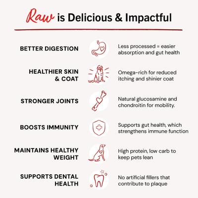 Dandy Lamb Morsels Frozen Raw Dog Food, 4-lb bag