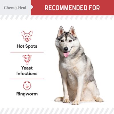 Toallitas antibacterianas y antifúngicas para el cuidado de perros y gatos con clorhexidina y ketoconazol (100 unidades)