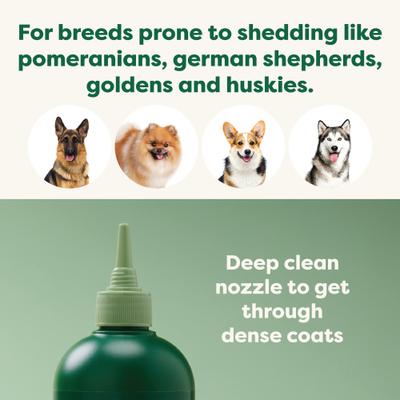 3-in-1 Deshedding Dog Shampoo & Conditioner, White Tea & Basil Scent, 16-fl oz bottle