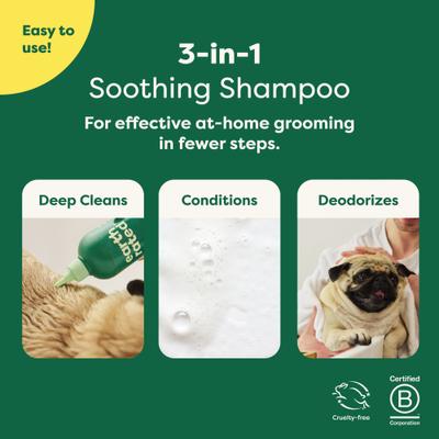 3-in-1 Soothing Dog Shampoo & Conditioner, White Tea & Basil Scent, 16-fl oz bottle