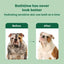 3-in-1 Soothing Dog Shampoo & Conditioner, White Tea & Basil Scent, 16-fl oz bottle