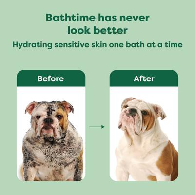 3-in-1 Soothing Dog Shampoo & Conditioner, White Tea & Basil Scent, 16-fl oz bottle