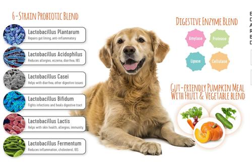 Probiotic Supplement for Dogs, 11-oz tub