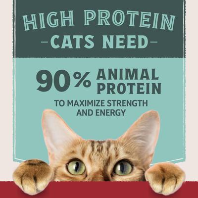 Ultra Protein Real Chicken Recipe with Protein-Rich Organs Pate Wet Cat Food, 2.8-oz can, case of 12