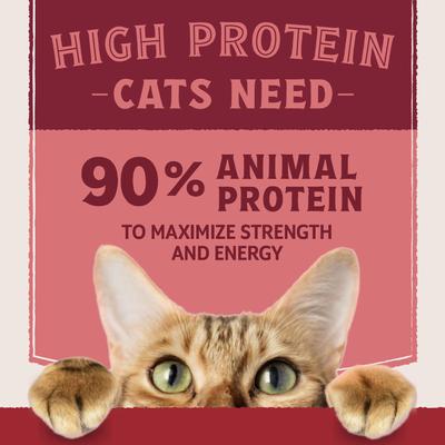 Ultra Protein Real Salmon Recipe with Protein-Rich Organs Pate Wet Cat Food, 2.8-oz can, case of 12