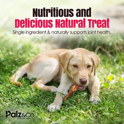 Birddog Chicken Feet Dog Treats, 60 count