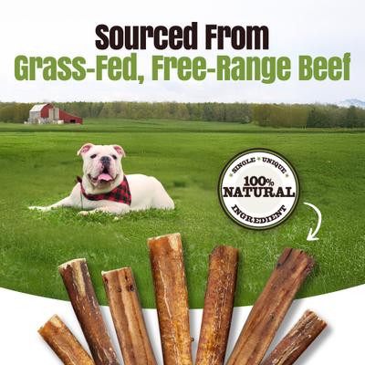 Moodog 6-inch Beef Monster Bully Sticks Dog Treats, 25 count