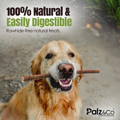Palitos de Bully Sticks de carne de res gruesa de 12 pulgadas para perros de Moodog, 25 unidades