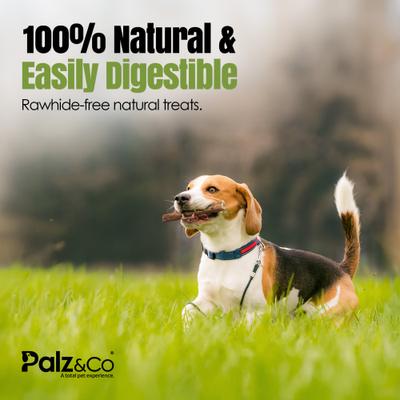 Palitos de Bully Sticks de carne de res gruesa de 6 pulgadas para perros de Moodog, 25 unidades