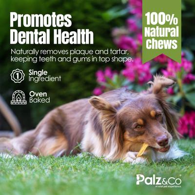 Moodog Beef Medium Tendon Sticks Dog Treats, 25 count