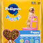 Paquete: Alimento seco Pedigree Puppy Growth & Protection con sabor a pollo y vegetales + Comida húmeda enlatada para cachorros con pollo y carne picada